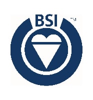 BSI_Web